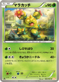 Maractus