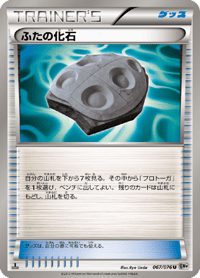 Cover Fossil