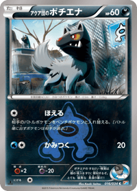 Team Aquas Poochyena
