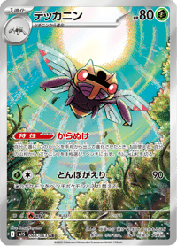 Ninjask