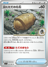 Antique Armor Fossil