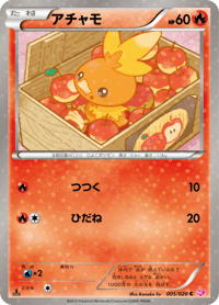 Torchic