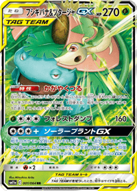 Venusaur Snivy GX