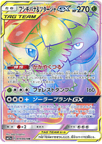 Venusaur & Snivy GX