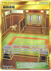 Martial Arts Dojo