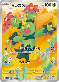 Maractus