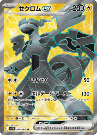 Zekrom ex