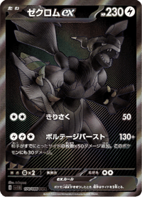 Zekrom ex
