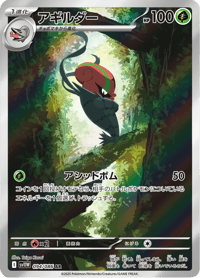 Accelgor