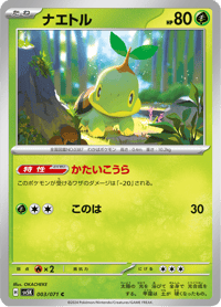 Turtwig