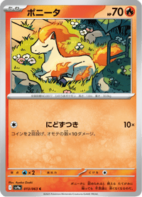 Ponyta