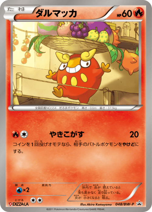 Darumaka