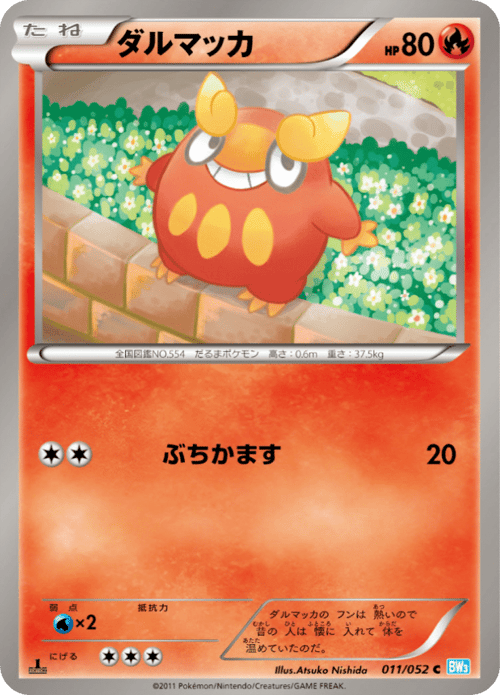 Darumaka