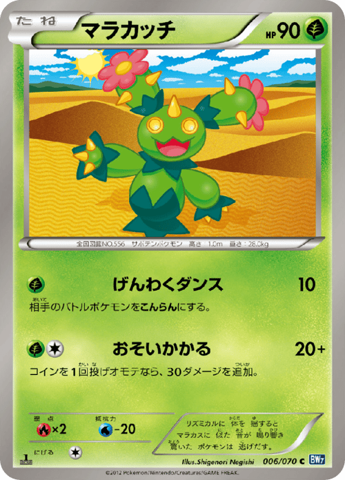 Maractus