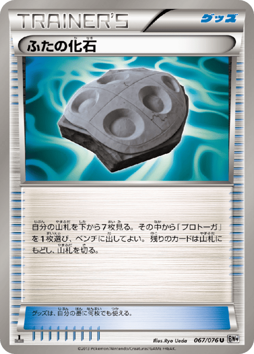 Cover Fossil