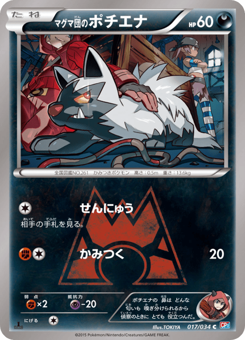 Team Magmas Poochyena