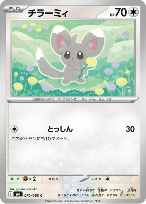 Minccino