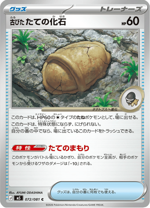 Antique Armor Fossil