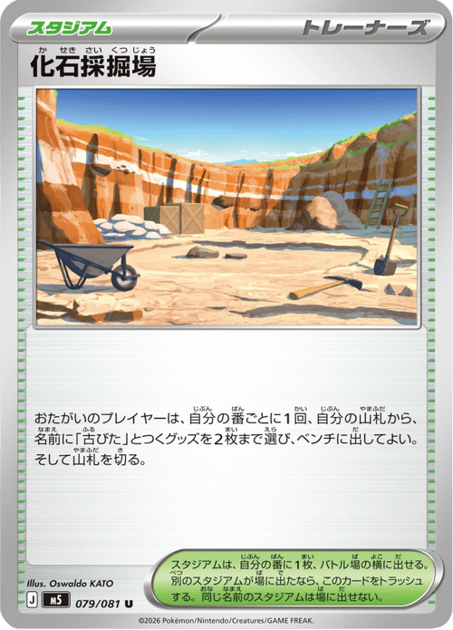Fossil Excavation Site