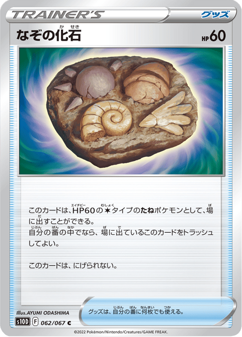 Unidentified Fossil