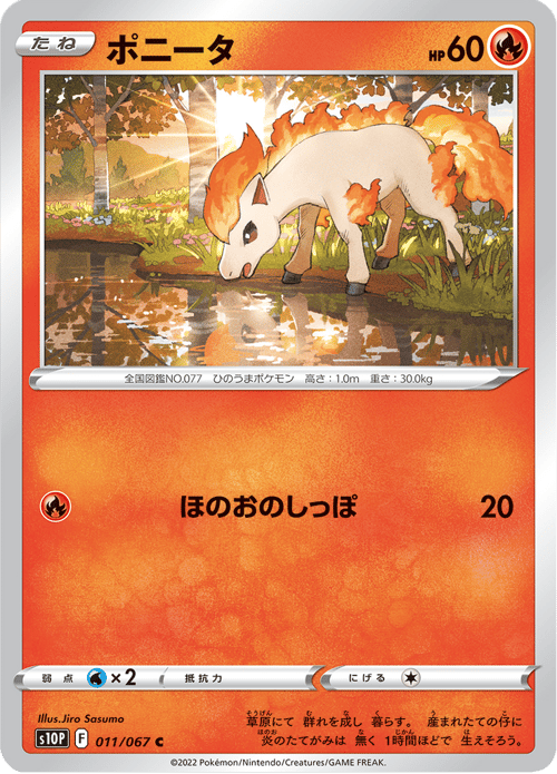 Ponyta