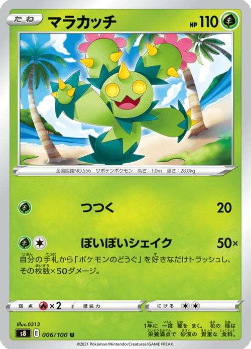 Maractus