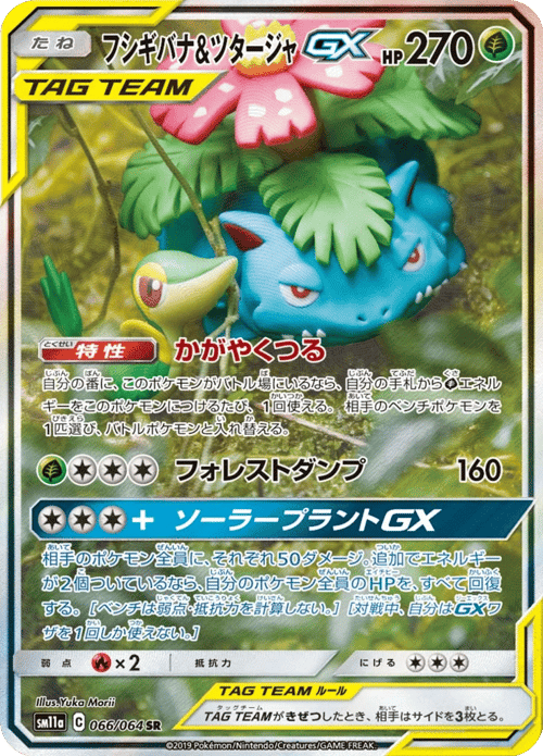 Venusaur Snivy GX