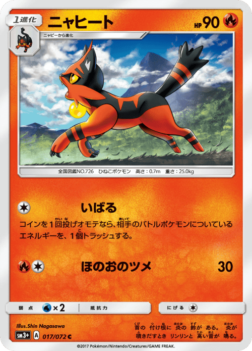 Torracat