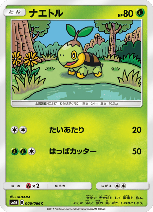Turtwig