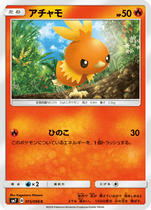 Torchic