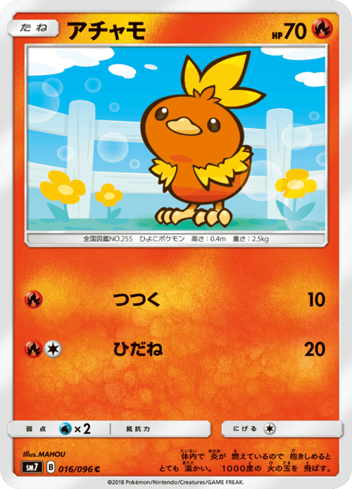 Torchic