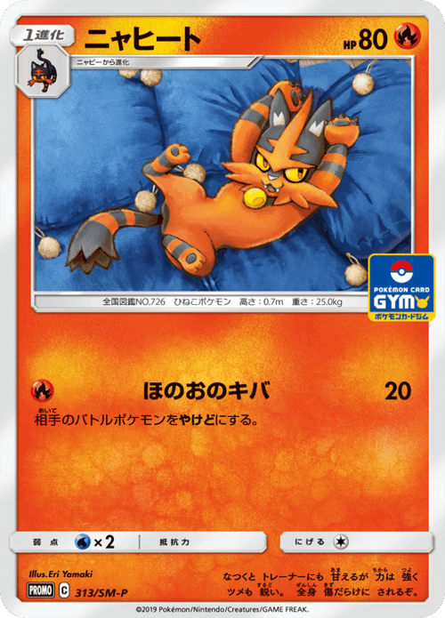 Torracat