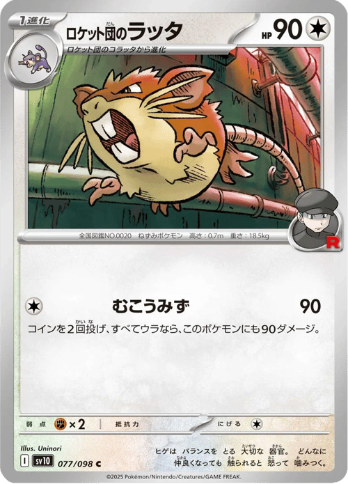 Team Rockets Raticate