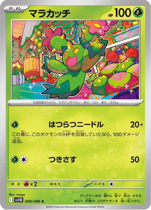 Maractus