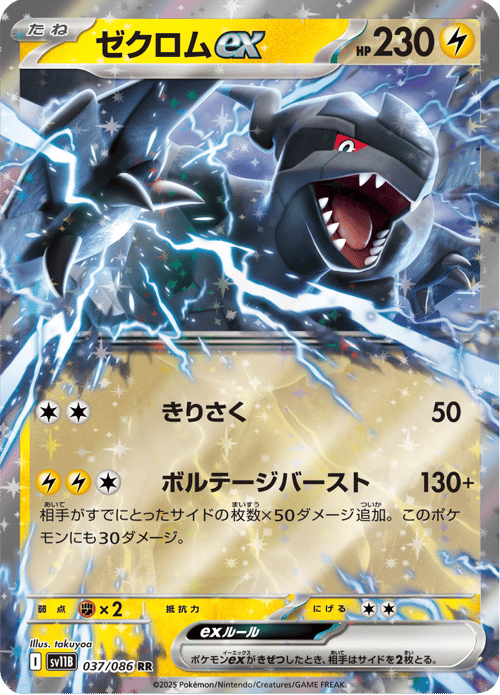 Zekrom ex