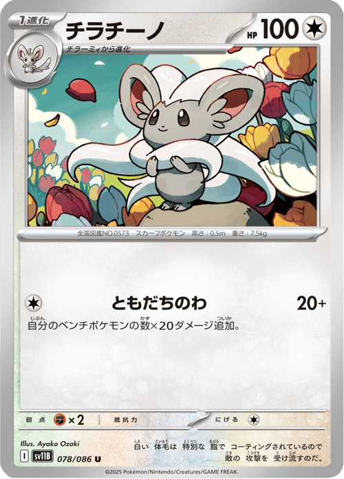 Cinccino