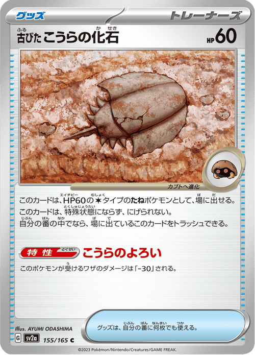 Antique Dome Fossil
