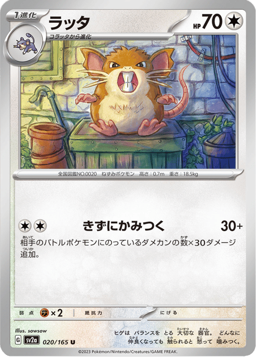 Raticate
