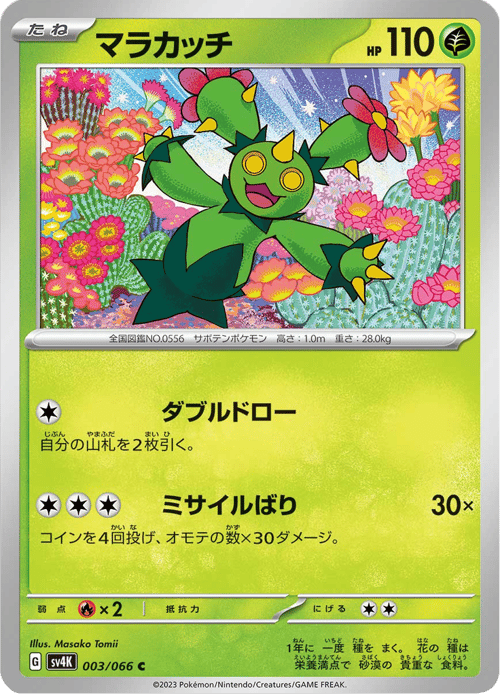 Maractus