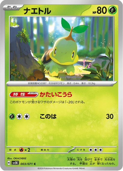 Turtwig