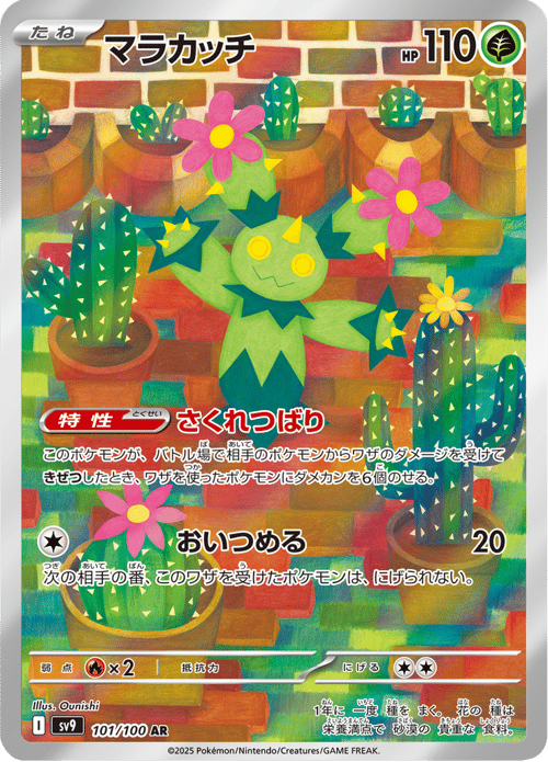 Maractus