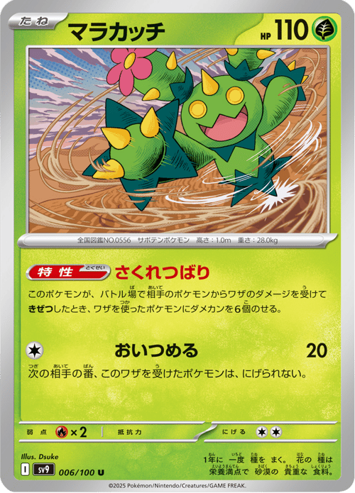 Maractus
