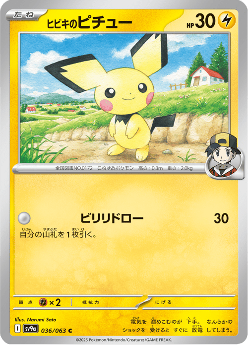 Ethans Pichu