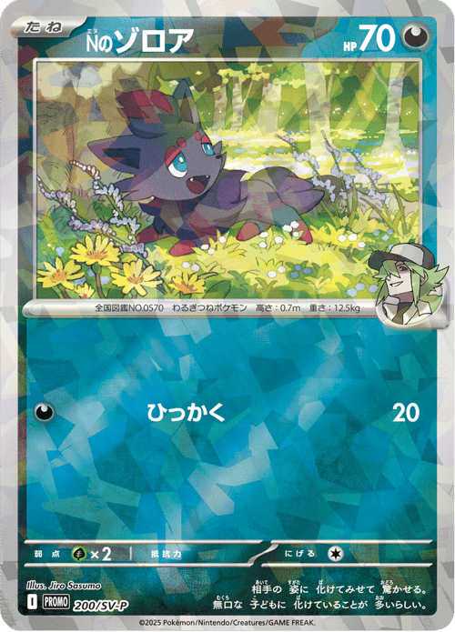 Ns Zorua