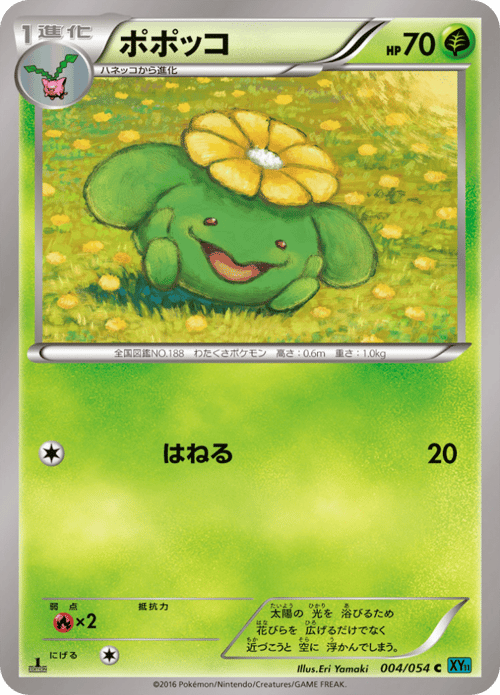 Skiploom