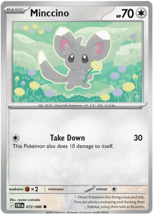 Minccino